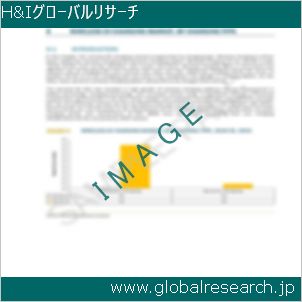 グローバルリサーチ調査レポートのイメージ